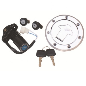Electric Door/Fuel Tank Cap/Cushion Set Lock for BAJAJ PULSAR 135/180 - A Grade Quality