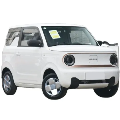 Geely Panda Mini EV Car - 4 Seat Electric Vehicle