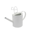 White Oval Galvanized Watering Can