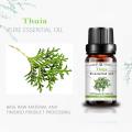 Mejor precio Pure Organic Thuja Essential Oil para el cuidado de la piel