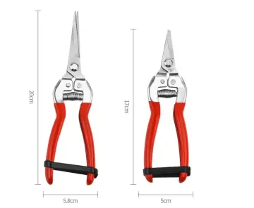 Professional Stainless Steel Pruning Scissors and Gardening Tools for Fruit Picking, Grape Harvesting, and Branch Trimming