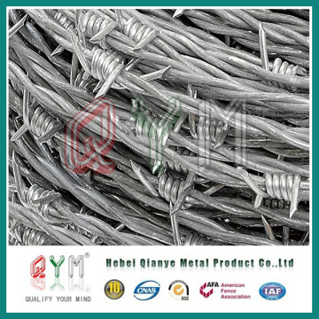Hot Galvanized 14 Gauge Twist Barbed Wire Price/Concertina Barbed Wire
