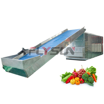 Professional Food Dehydrator Dryer Machine