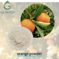 Апельсиновый порошок Натуральный порошок цитрусовых, высушенный распылением