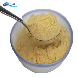 high quality food grade green Papaya concentrated powder