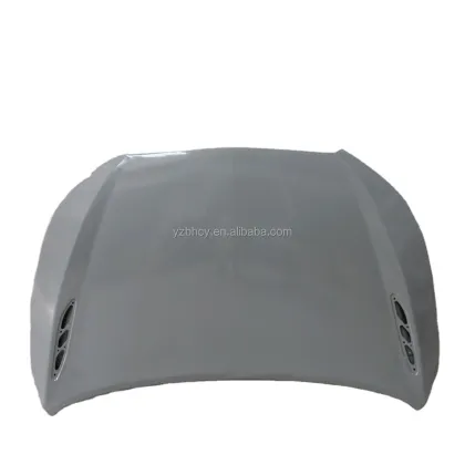 Factory Direct Sale: Affordable Auto Body Parts & Accessories for BU ICK La Crosse 2009-2012 - Engine Hood 20794199