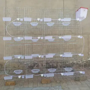 Bird pigeon cage/ pigeon breeding cage/ pigeon cage