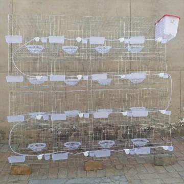 Bird pigeon cage/ pigeon breeding cage/ pigeon cage