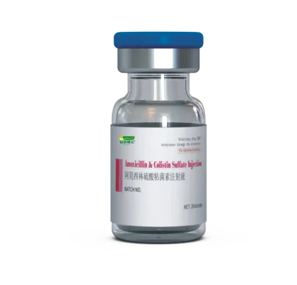 Amoxicillin and Colistin Sulfate Injection