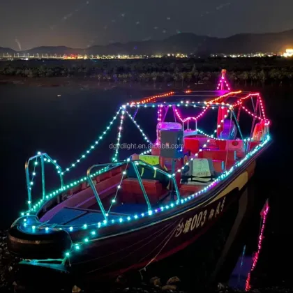 RGB Pixel Christmas DMX LED Pixel Fairy Lights Copper Wire Twinkle Christmas Lights