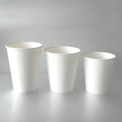 Popular PE Coated Ningbo Paper Cups for Sale