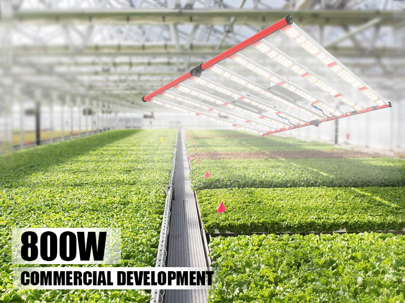 Lm301b Grow Light 800w 5