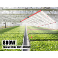 aglex LED تنمو ضوء طيف كامل 800W