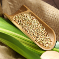 China exporta frutos secos orgânicos secos trigo sarraceno