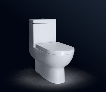 Toilette monobloc en céramique siphonique pour salle de bain