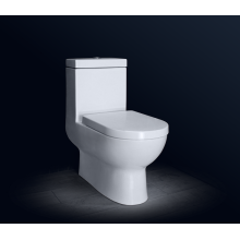 Toilette monobloc en céramique siphonique pour salle de bain