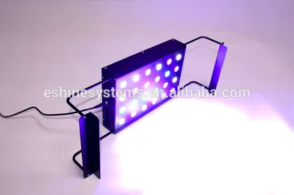 aquarium tanks sunsun aquarium fish prices design solutions international
