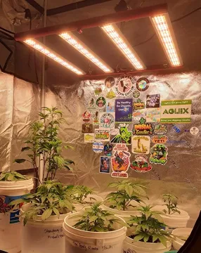 Full Spectrum 240w LED Household Grow Light