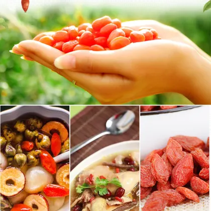 Contain B-complex vitamins of QW goji berry