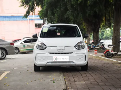 2023 Rowei Clever Roadster New Energy Electric
