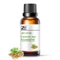 Pure Caraway Oil Therapeutic Grade Essential Oil