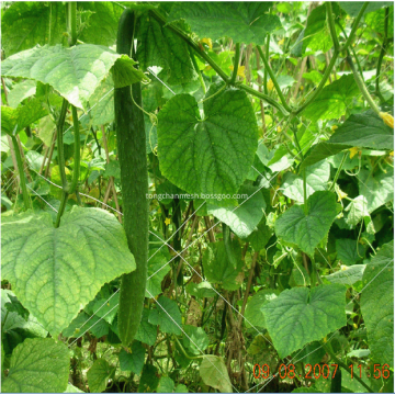 Soporte de planta de jardín enrejado neto