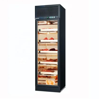High-Quality Commercial Catering Equipment: Wagyu Beef Dry Aging Refrigerator and Butter Dry Ager Cabinet