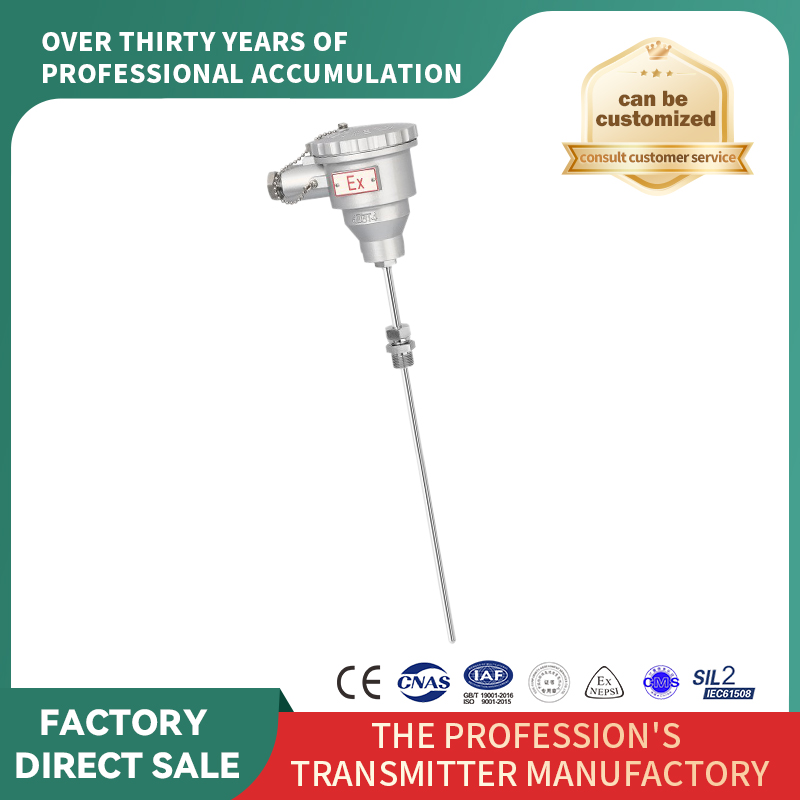 Senzori RTD/termocuplu blindați ignifugați