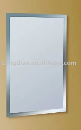 mirror with S/S frame