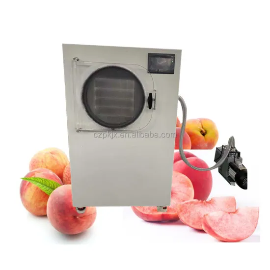 Top Quality Household Freeze Dryer for -50 to -60 Degrees Celsius | Professional Lab Vacuum Dryer