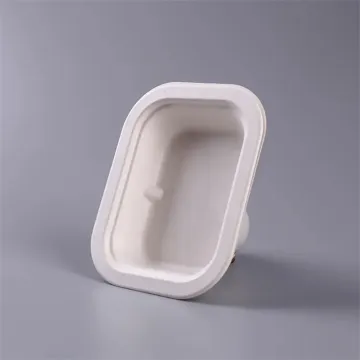 Bagasse Pulp Molded Paper Food Meat Packaging Box