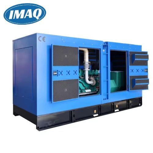 3 Phase Electric Power Genset 300kVA 50/60Hz