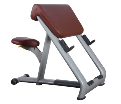 Professional Gym Strength Equipment Scott Bench