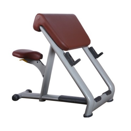 Professional Gym Strength Equipment Scott Bench