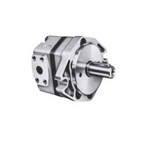 Toyooki Gear Pump