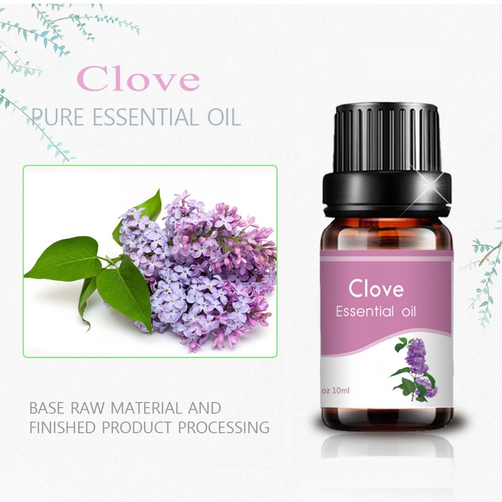 100% pure natural clove essential oil for massage aroma