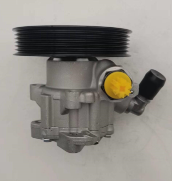 BAIC SAAB D70 PAWER PEALING PUMP A025C080/GA5230750 7079955005