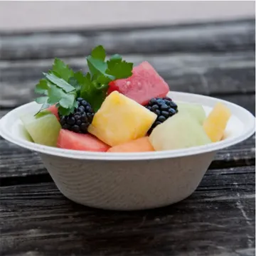 Eco-friendly disposable sugarcane bagasse food holder tray