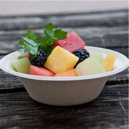 Eco-friendly disposable sugarcane bagasse food holder tray