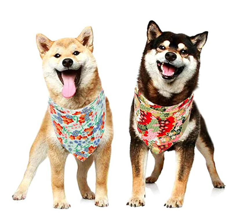 Dog Bandana Set 4 PCS