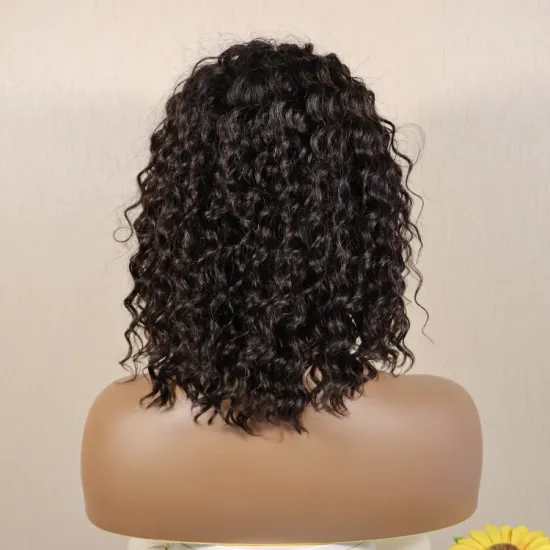 china manufacturer wholesale cheap 100% virgin black women malaysian human hair lace front wig