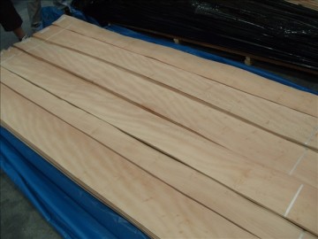 Lacewood Veneer