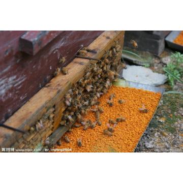 生の蜂蜜から高品質櫛蜂蜜