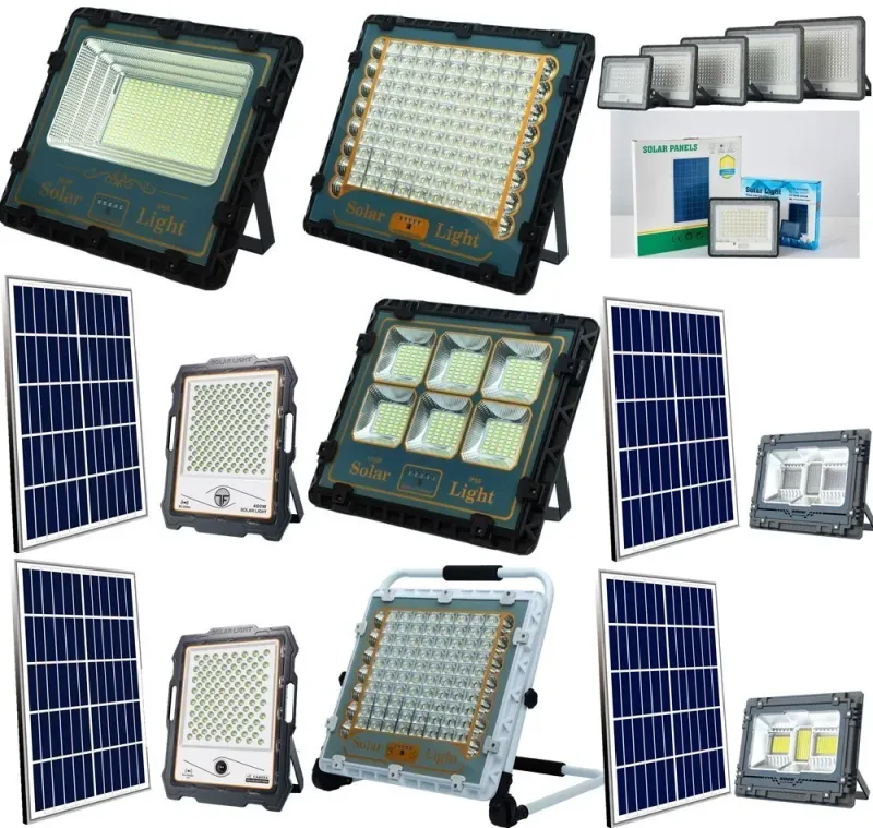 China Solar Manufacturer LED Sensor Street Light with Camera