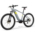 Mid Motor Flyer Electric Bike