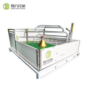 Hot Sale Economical Pig Farrowing Crates - Pig Breeding Equipment