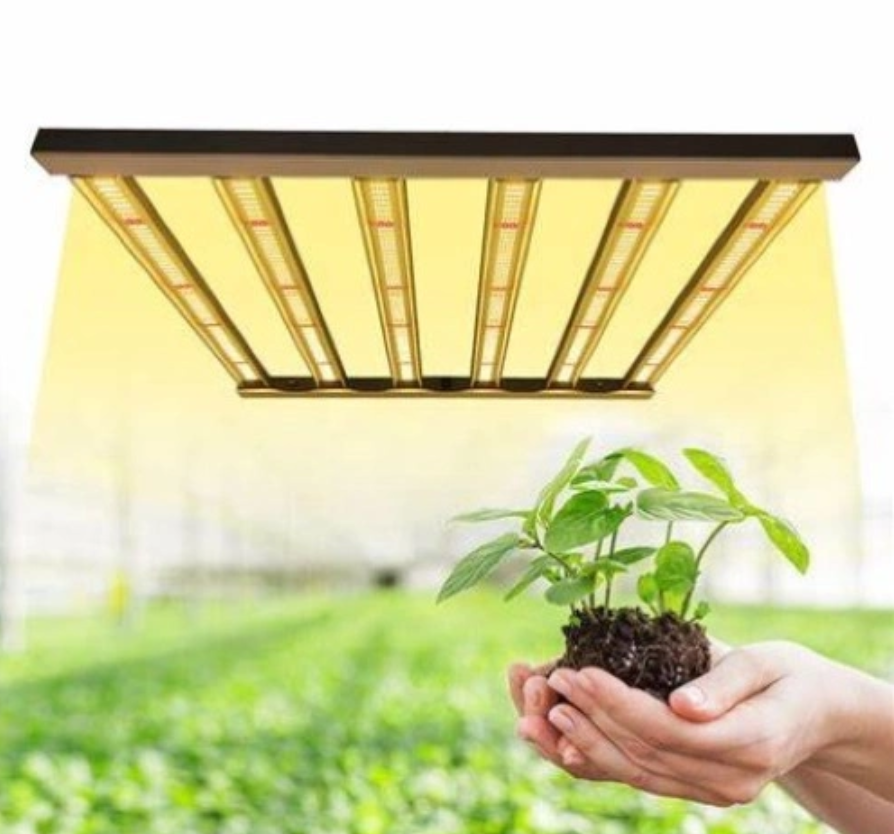 Modern design LED plant light