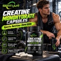 Creatine Monohydrate Powder 99.9% HPLC