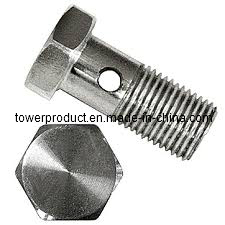 Stainless Steel Hex Bolt (DIN933 DIN931 & DIN934) (MGS-HB002)
