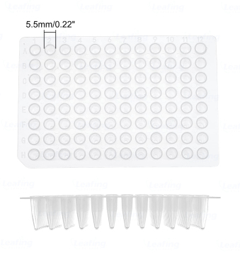 पीपी बाँझ पारदर्शी पीसीआर परीक्षण पॉलीप्रोपाइलीन 0.1ml 96 अच्छी तरह से पीसीआर प्लेट